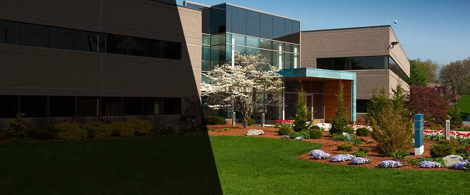 Mill Hall Landscapers