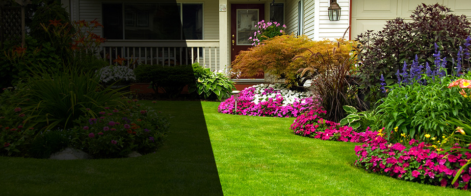Mill Hall Landscapers