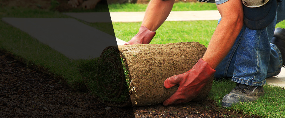 Mill Hall Landscapers